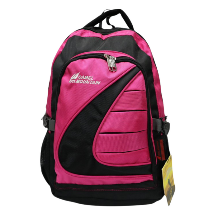 B-BT 2013 Backpack-Pink 18'