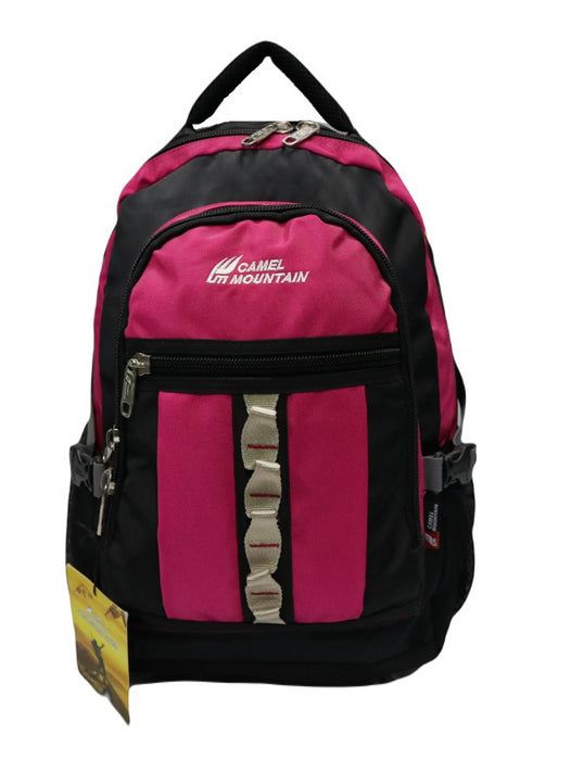 B-BT 2002 Backpack Pink18"