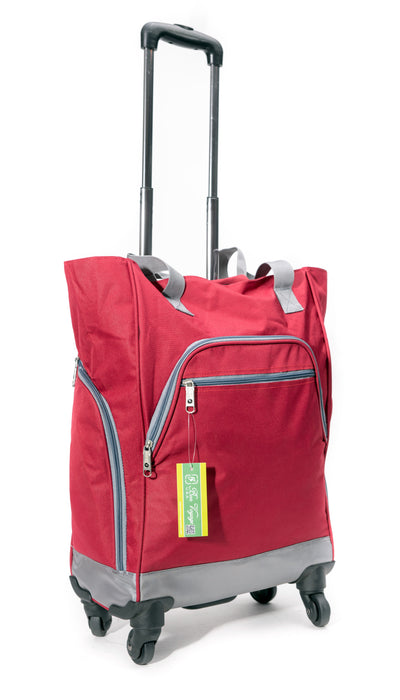 Duffel Bag Gym Sports Weekend Travel Carry-On BL1009