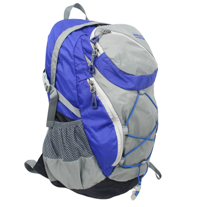 18.5 Inch Backpack Royal Blue Everyday School Bookbag Travel Day Bag 1143